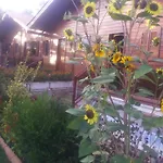 Cozy With Balcony In Matas 20 M² And Jacuzzi *