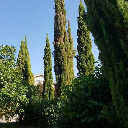 Cozy Studio With Balcony In Matas 20 M² And Jacuzzi Daire *