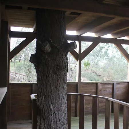 Cozy With Balcony In Matas 20 M² And Jacuzzi