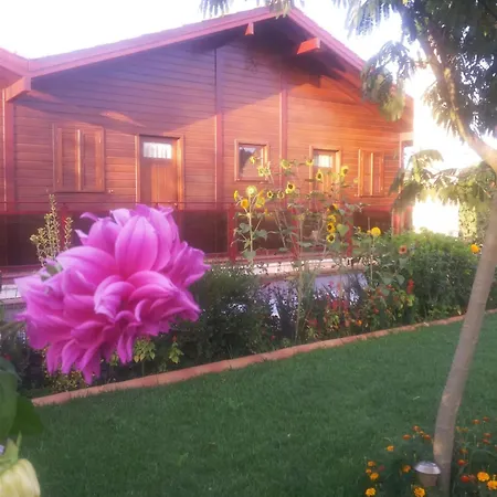 Cozy With Balcony In Matas 20 M² And Jacuzzi Appartamento