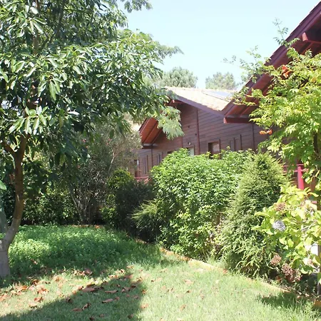 Appartamento Cozy With Balcony In Matas 20 M² And Jacuzzi Mata