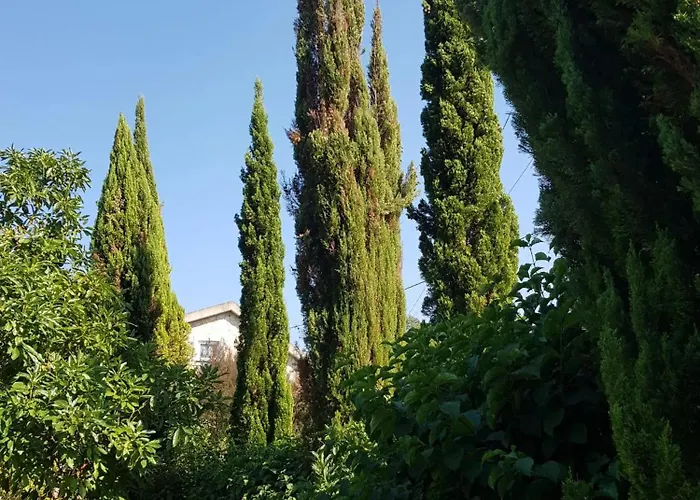 Cozy With Balcony In Matas 20 M² And Jacuzzi Апартаменты *