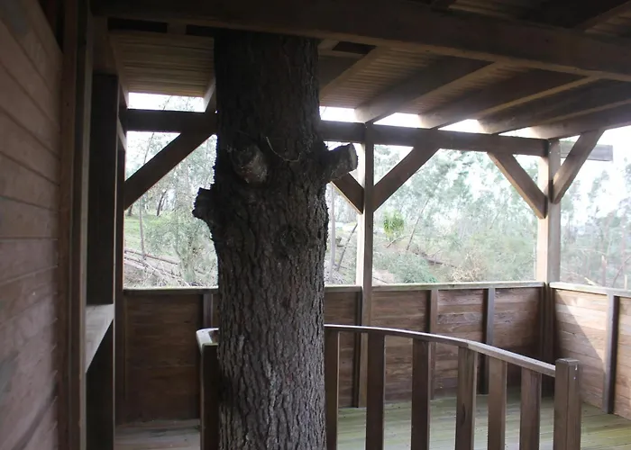 Cozy With Balcony In Matas 20 M² And Jacuzzi