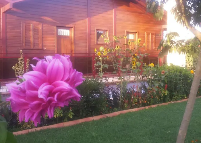 Cozy With Balcony In Matas 20 M² And Jacuzzi شقة