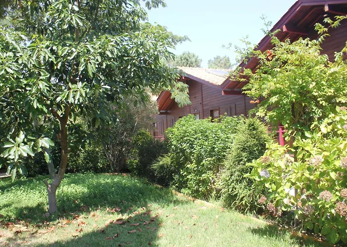 Appartement Cozy With Balcony In Matas 20 M² And Jacuzzi Mata (Fornos de Algodres)